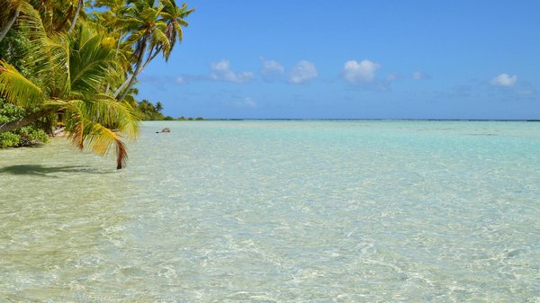 Explorations Insolites : Plongez dans des Itinéraires Touristiques Étonnants à Découvrir !