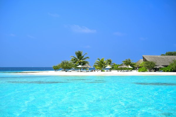 Voyager Solo : Le Guide Incontournable pour une Aventure Inoubliable